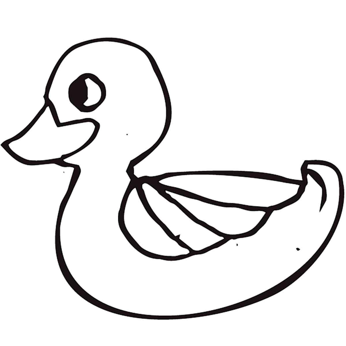 NEGRO PATO