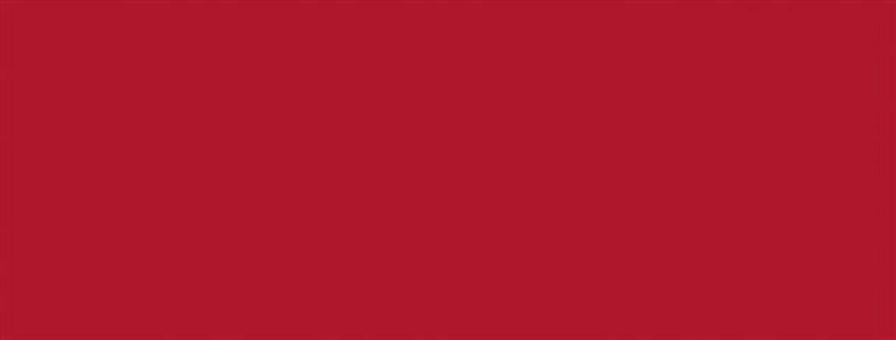 ADHESIVO BONITA LISOS VERNIZ R-4021/10 ROJO Mate 20m
