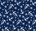 R.RESINADO ANCLA AZUL 1.40x20m