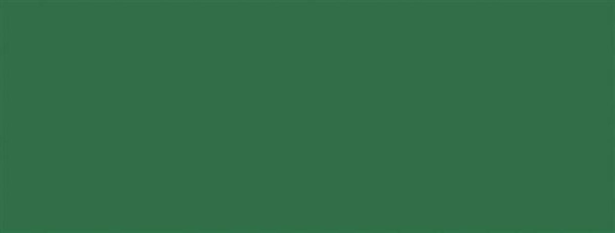 ADHESIVO BONITA LISOS VERNIZ R-5671/10 VERDE 20m