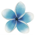 EXOTIC ACQUA ACC DECORATIVO ADHESIVO BATHDECO