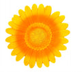 BATHDECO GERBERA SUNSHINE ACC DECORATIVO ADHESIVO