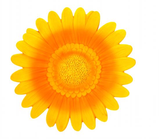 BATHDECO GERBERA SUNSHINE ACC DECORATIVO ADHESIVO