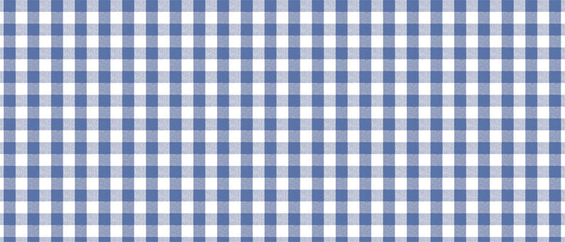 R.BONITA-PTEX 1.40x20m PICNIC AZUL