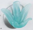 BATHDECO LILY TURKIS