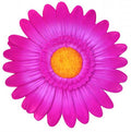 BATHDECO GERBERA PINK ACC DECORATIVO ADHESIVO