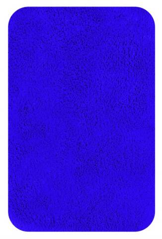 CALIFORNIA VIOLET 40x60 ALF.TEX